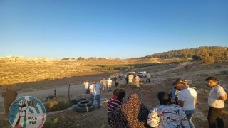 مستوطنون يعتدون على المواطنين في مسافر يطا