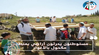 تمهيدا للاستيلاء عليها وزراعتها: مستوطنون يحرثون أراضي بمنطقة مكحول بالأغوار