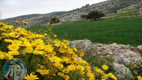 الطقس: أجواء ربيعية ويطرأ ارتفاع ملموس على درجات الحرارة