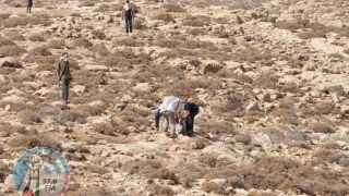 اعتداءات المستوطنين