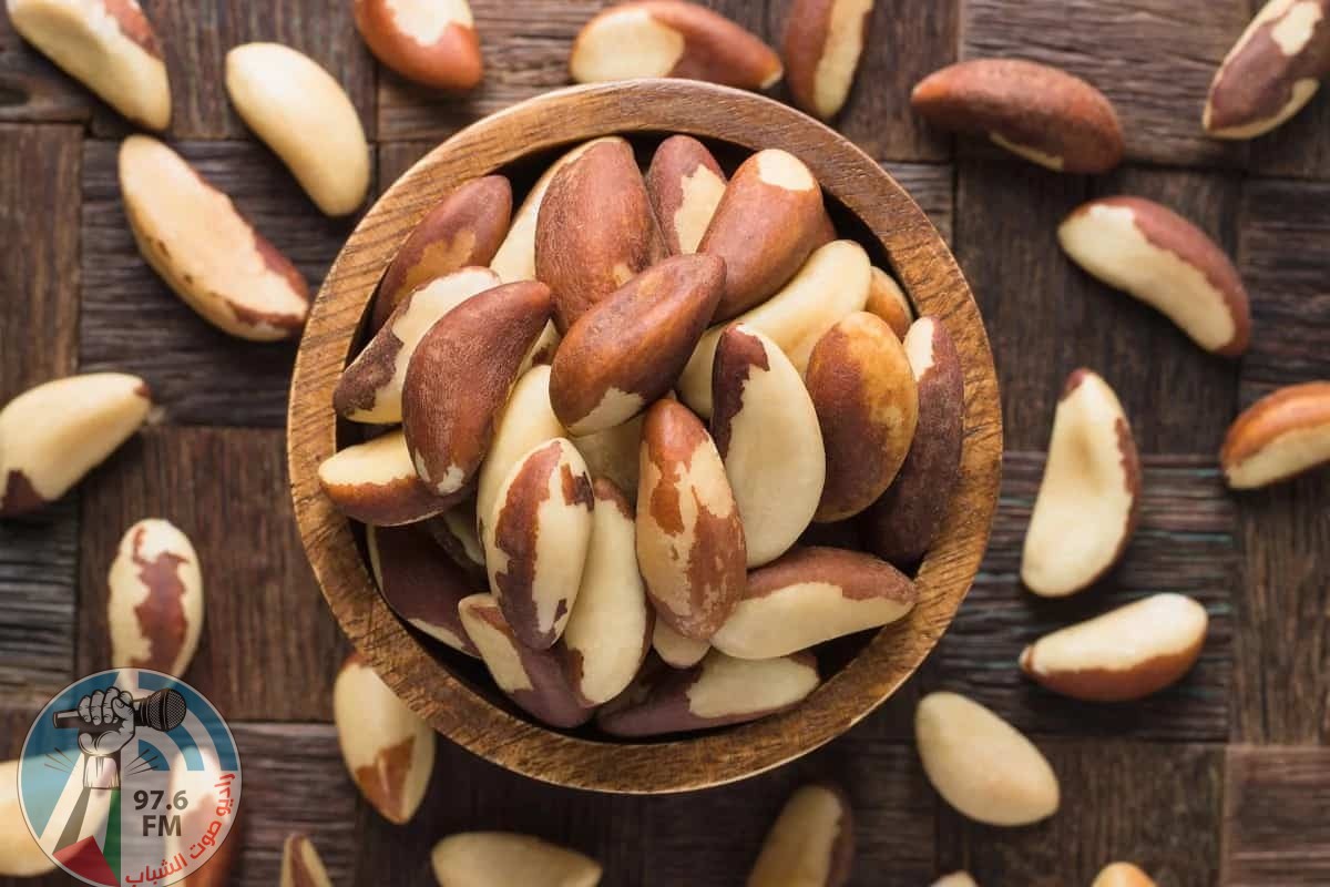 جمع الجوز البرازيلي في الأمازون... عمل شاق وخطر