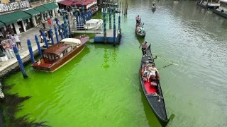المياه في البندقية لونها أخضر