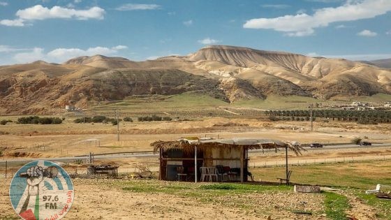 حظيرة أبقار في الأغوار الشمالية