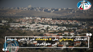 الاحتلال يستولي على 5 دونمات من أراضي شوفة في طولكرم