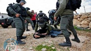 الاحتلال يعتدي بالضرب على سيدة ويعتقل أربعة مواطنين من أريحا