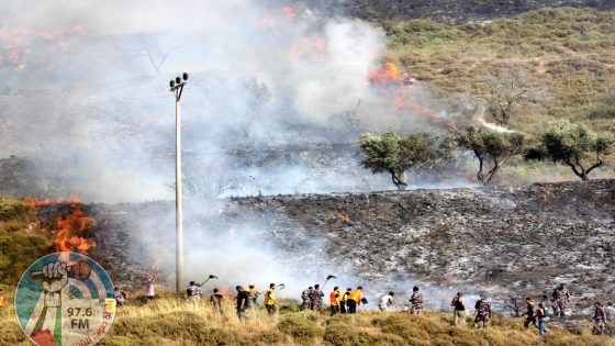 مستوطنون يشعلون النيران في أراض بسعير