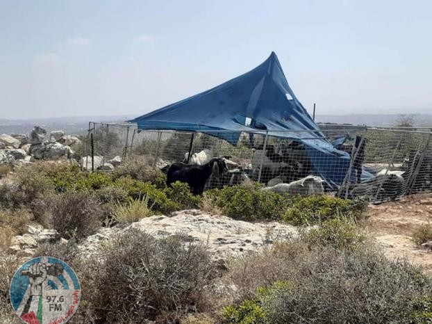 منطقة دير دقلة جنوب بلدة دير بلوط غرب سلفيت.