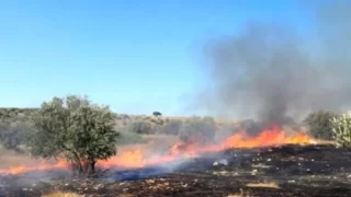 مستوطنون يضرمون النيران في أراضي بورين جنوب نابلس