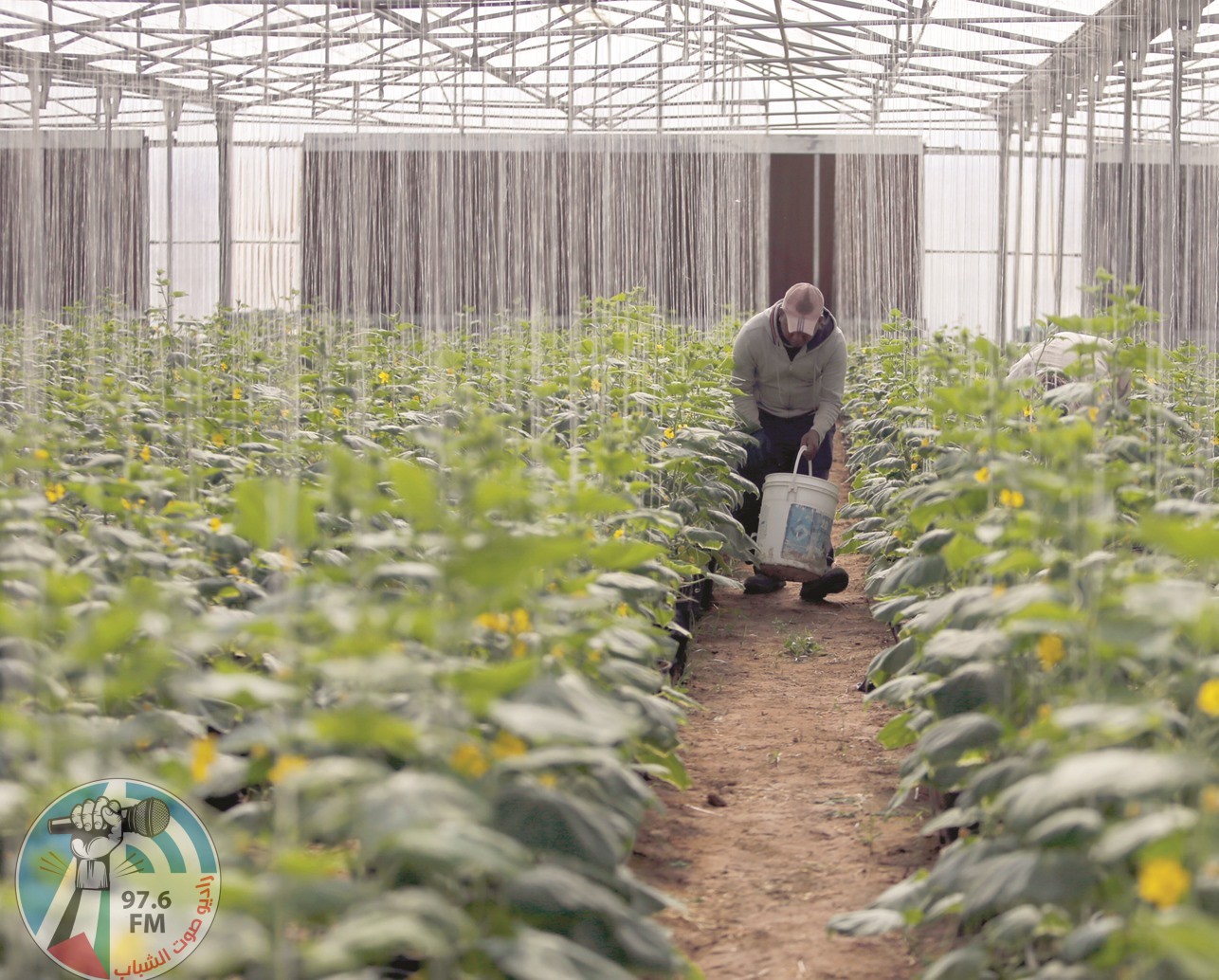 اطلاق حزمة من المشاريع الزراعية لتعزيز صمود المواطنين في محافظة الخليل