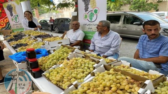 انطلاق مهرجان تسويق العنب في جنين للعام السادس على التوالي