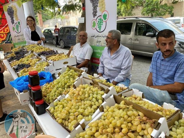 انطلاق مهرجان تسويق العنب في جنين للعام السادس على التوالي