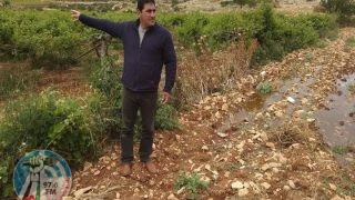 مستوطن يطلق الرصاص صوب مزارع في بيت أمر