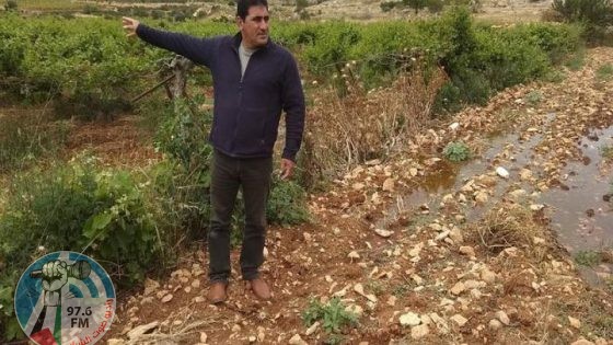 مستوطن يطلق الرصاص صوب مزارع في بيت أمر