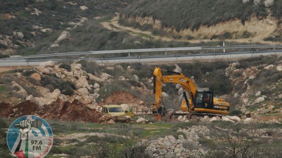 الاحتلال يجرف 100 دونم ويقتلع نحو 150 شجرة زيتون شرق قلقيلية