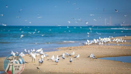 الطقس: أجواء صافية وحارة نسبيا