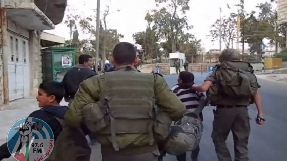 الاحتلال يعتقل طفلين من نحالين غرب بيت لحم