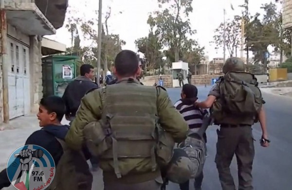 الاحتلال يعتقل طفلين من نحالين غرب بيت لحم