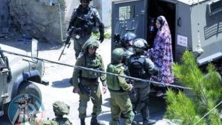 الاحتلال يعتقل 8 مواطنين من الخليل بينهم امرأة وشقيقان