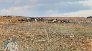 مستوطنون يسرقون 30 رأس بقر في الأغوار الشمالية