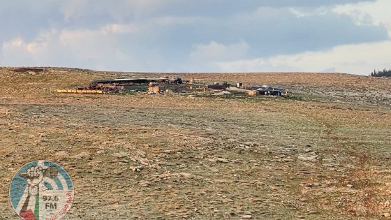 مستوطنون يسرقون 30 رأس بقر في الأغوار الشمالية