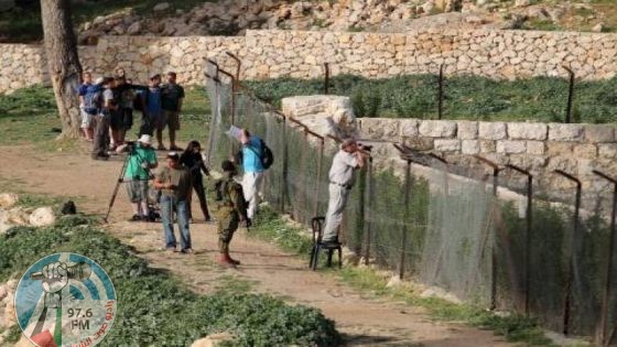 مستوطنون يستولون على 12 دونما جنوب بيت لحم