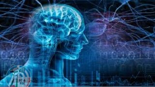 علماء روس يثبتون تأثير الإشعاع الكهرومغناطيسي في جسم الثدييات