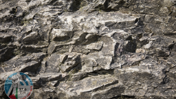 أقدم صخور الأرض تكشف عن نظام بيئي يعود تاريخه إلى مليارات السنين