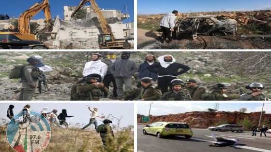 مقاومة الجدار والاستيطان: 1593 اعتداء نفذها الاحتلال ومستوطنوه الشهر الماضي
