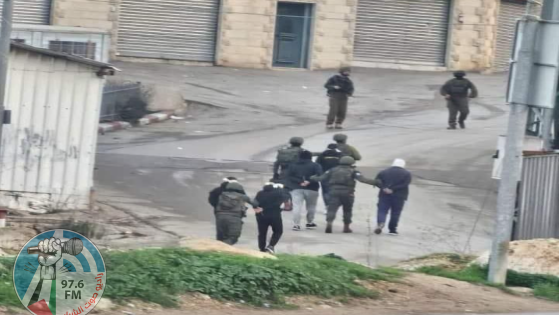 الاحتلال يعتقل 12 مواطنا من محافظة الخليل