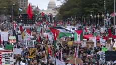 حملة ضخمة في الولايات المتحدة لفضح جرائم المستوطنين بحق الفلسطينيين