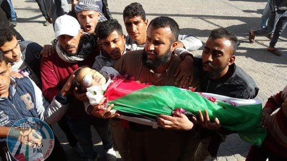 “التربية”: قتل أطفالنا وحرمانهم من التعليم في غزة جريمة تستوجب العقاب
