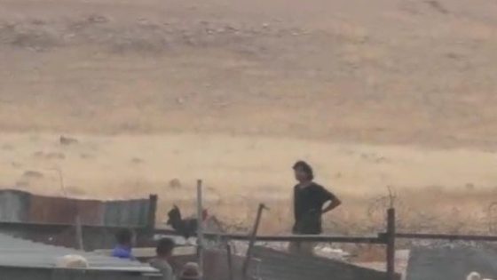 أريحا: مستوطنون يهاجمون تجمع “عرب المليحات”