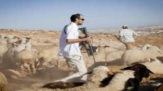 قوات الاحتلال تقتحم بلدة يطا والمستعمرون يطاردون رعاة الأغنام