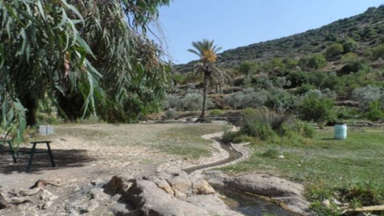 الاحتلال يعتقل مزارعا ويصادر شاحنة غرب سلفيت