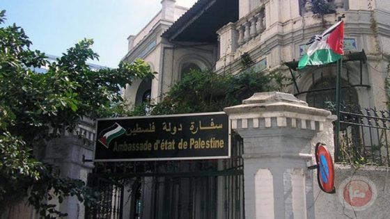 سفارتنا بالقاهرة: إعادة فتح طلبات الالتحاق بمبادرة الطلبة الدارسين بفلسطين العالقين في مصر