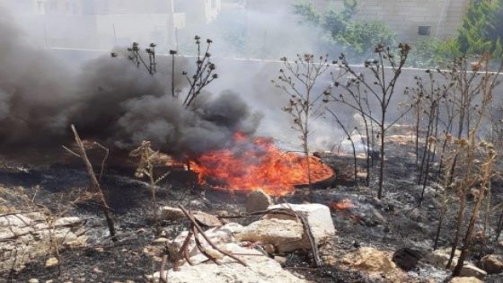 النيران تأتي على عشرات الدونمات الرعوية في الأغوار الشمالية