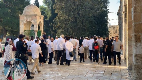 عشرات المستعمرين يقتحمون المسجد الأقصى