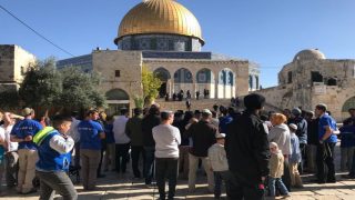 192 مستوطنا يقتحمون المسجد الأقصى