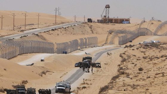 وزير الدفاع المصري: من المهم تنسيق الجهود للتوصل لتهدئة بغزة