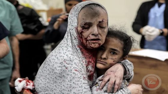39 شهيدا خلال 24 ساعة و35272 منذ بدء الحرب