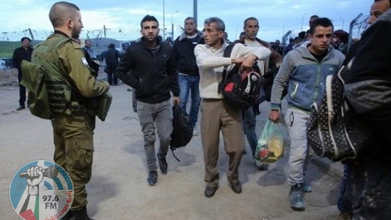 سعد : الشرطة الإسرائيلية تعتقل 101 عامل فلسطيني في يافا