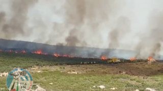 مستوطنون يحرقون 15 دونما من محصول القمح في سبسطية شمال غرب نابلس