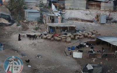 مستوطنون يستولون على التجمع البدوي بير المسكوب في بادية القدس