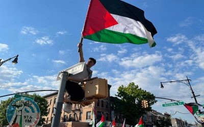مسيرات في الولايات المتحدة لإحياء ذكرى النكبة والمطالبة بوقف العدوان على غزة