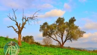 حالة الطقس: أجواء حارة الى شديدة الحرارة