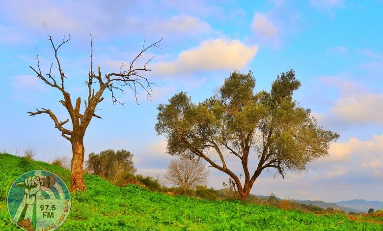 حالة الطقس: أجواء حارة الى شديدة الحرارة