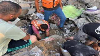 265 يوما للحرب على فلسطين