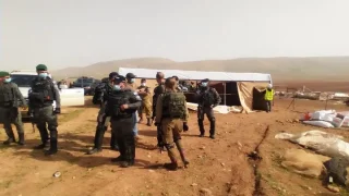 مستعمرون يقتحمون تجمعا شمال غرب أريحا
