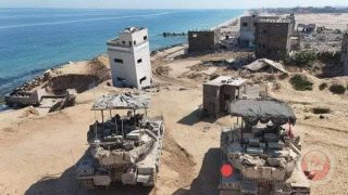 246 يوما للحرب على فلسطين