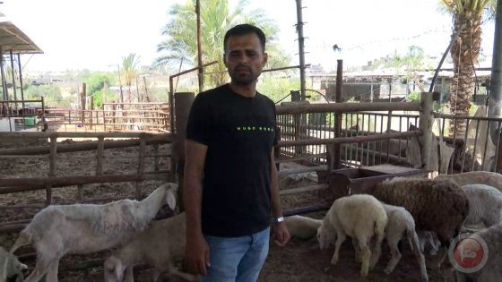 أسواق غزة تخلو من الأضاحي في العيد